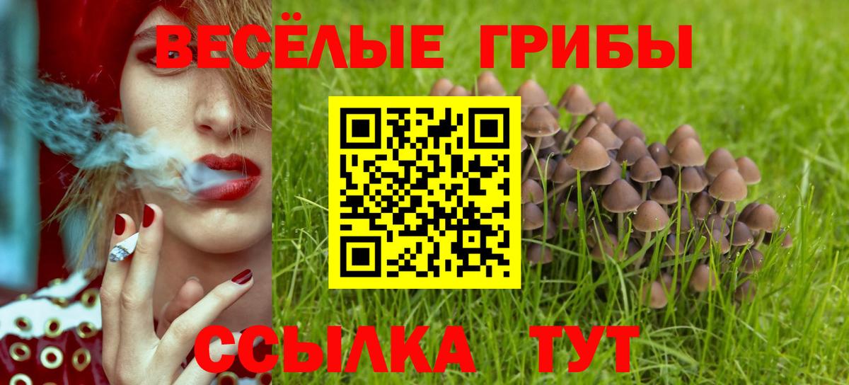 Галлюциногенные грибы GOLDEN TEACHER  Вход с VPN  Сыктывкар 
