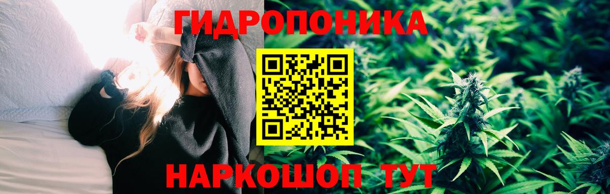 Бошки Шишки семена Сыктывкар